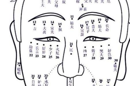 胸前长痣面相图