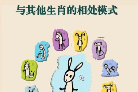 属猪的人2013年运程(属猪的人2013)