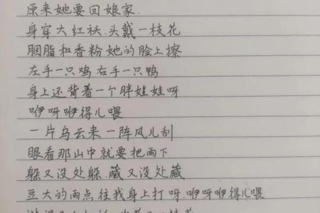 回娘家给老爹灭火 回娘家给老爹灭火原名叫什么