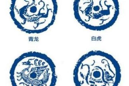 朱雀宫深打一最佳生肖(朱雀宫深打一动物)