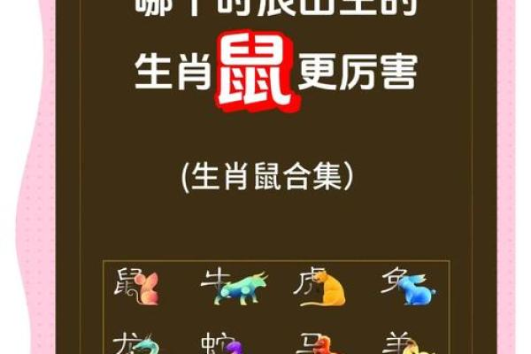 1972年出生的属鼠人2024年全年运势详解完整版
