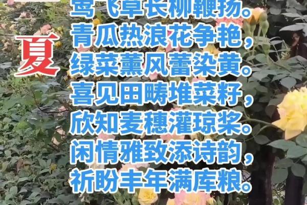 2021年立夏节气准确时间：几月几号几分开始？
