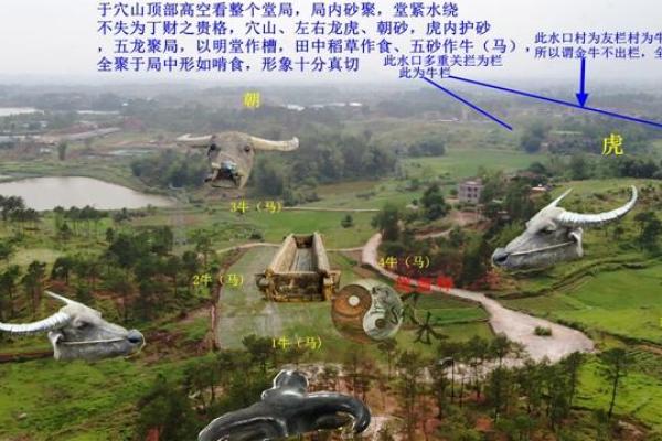 风水宝地出男丁是什么生肖