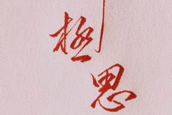 静中思动是什么生肖(静中思动是什么生肖正确答案)