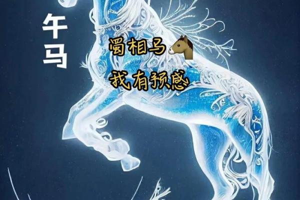 后起之秀是什么生肖