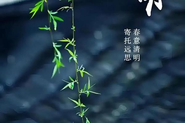 2025不能上坟的属相 2025不能上坟的属相化解方法