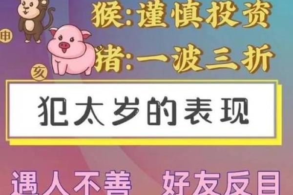 2025不能上坟的属相 2025不能上坟的属相化解方法