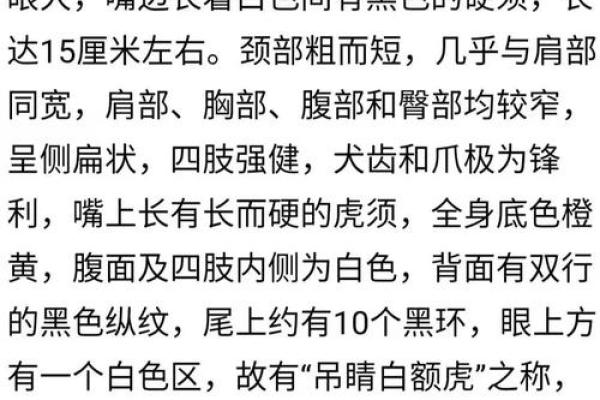 危在旦夕打一生肖(危在旦夕猜生肖)