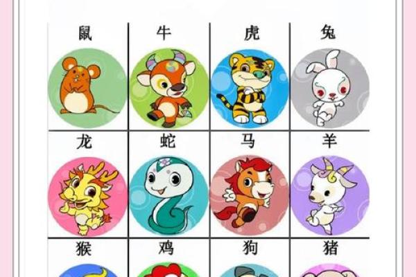 腾云驾雾打一准确生肖(腾云驾雾打一准确生肖是马吗)
