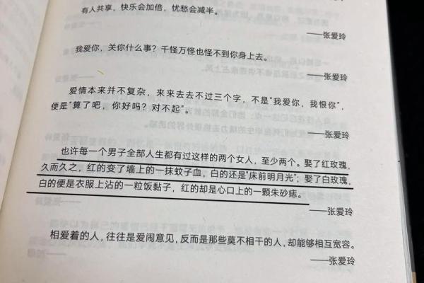 什么是白月光与朱砂痣的区别 白月光和朱砂痣的区别白月光什么意思