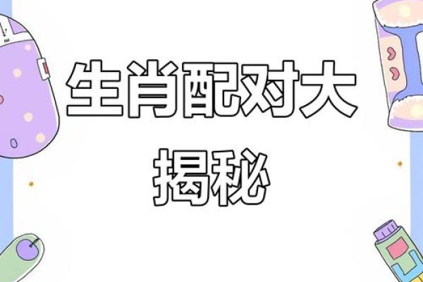 女兔子和男老鼠属相合不合 女兔跟男老鼠合不合