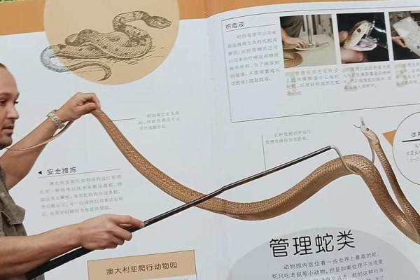 斩草除根打一生肖正确答案解析，到底是哪个动物最符合