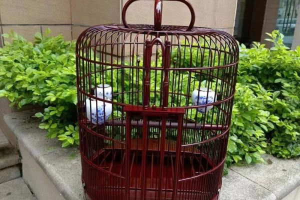 鸟笼挂在家中什么地方好 鸟笼子挂在家里什么位置好