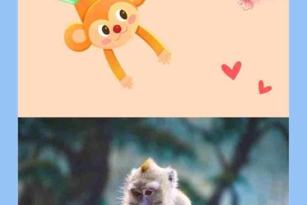 坐着没有站着高指的是什么生肖，答案和解释是什么