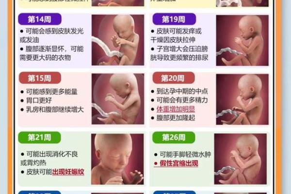 12月生的孩子是几月怀孕的 12月生的小孩是几月怀孕