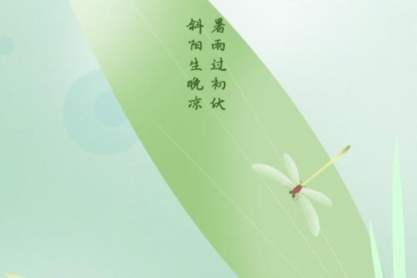 2021年入伏具体从哪一天开始计算？