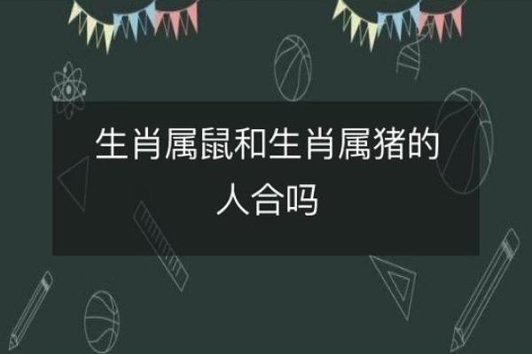 2008年出生生肖属猪还是属鼠？如何正确划分年份界限