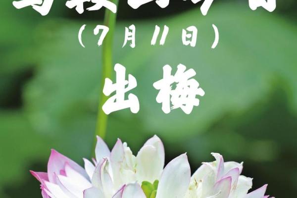 2024年出梅具体是在哪一天，如何查询准确日期？