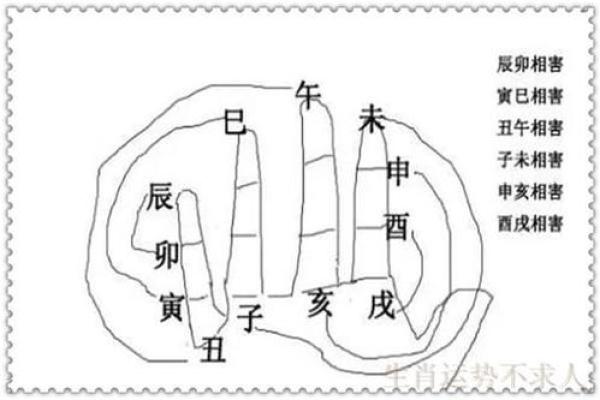 白发苍苍指的是什么生肖，正确答案及详细解析