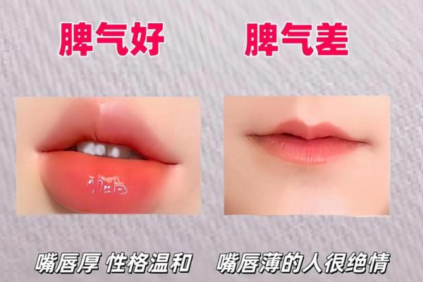 ‌肥头大耳打一准确生肖 → 猪（猪头肥硕，大耳垂肩）‌