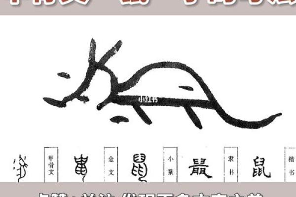 ‌一木一土一方水 → 鼠（鼠穴依木，水土为巢）‌