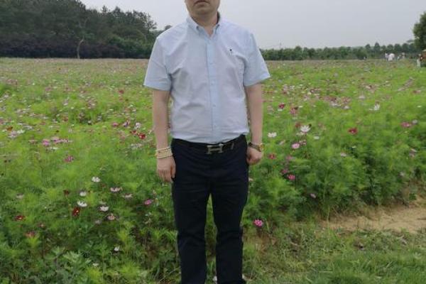 2025年11月4日婚礼筹备宜忌与良辰挑选指南