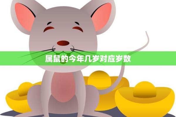 2025年属鼠的人在不同年份出生具体年龄计算表
