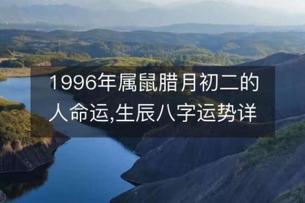 1996年丙子鼠2024年龙年运势解析，全年财运婚姻运势分析