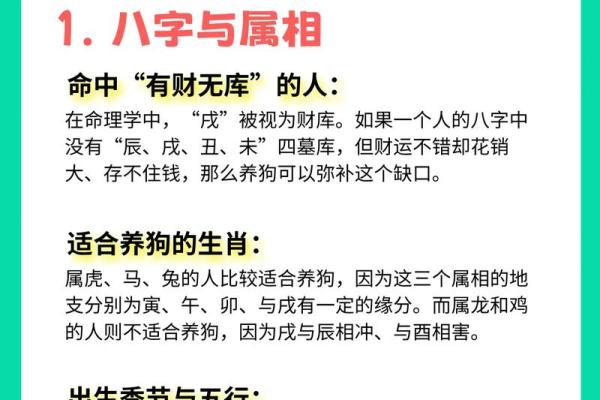 属猪和属狗的合不合财运 属猪和属狗的人在一起合适吗