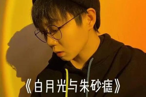 白月光和朱砂痣代表什么意思 白月光与朱砂痣学生版村里的孩儿歌词