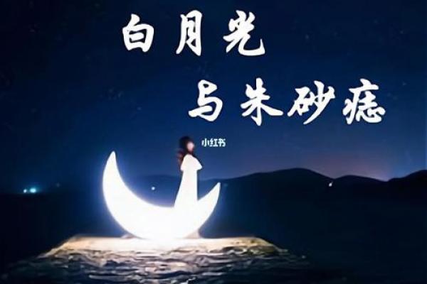 白月光和朱砂痣代表什么 白月光和朱砂痣代表什么