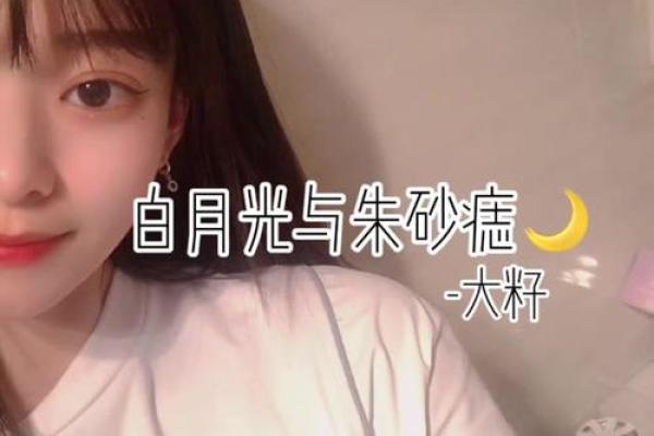 白月光和朱砂痣代表什么 白月光和朱砂痣代表什么