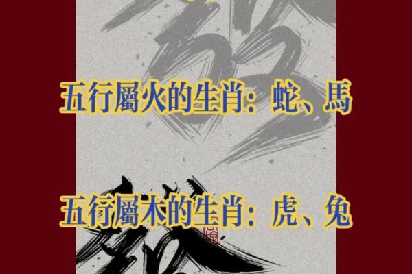 玄武什么属相不能佩戴 玄武属什么属性