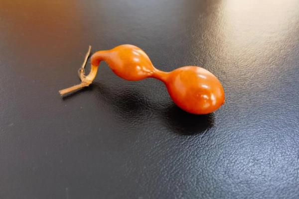 辟邪葫芦挂在家里哪个位置 镇宅辟邪的葫芦如何挂