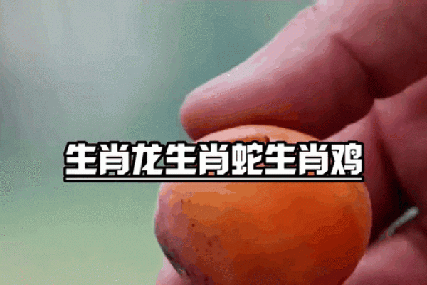 等闲视之打一生肖正确答案完整解析，看看你猜对了吗