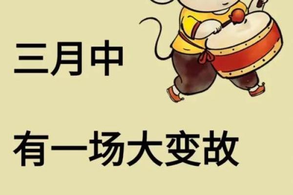 2025年属鼠人的财运和事业运如何，需要注意哪些方面？