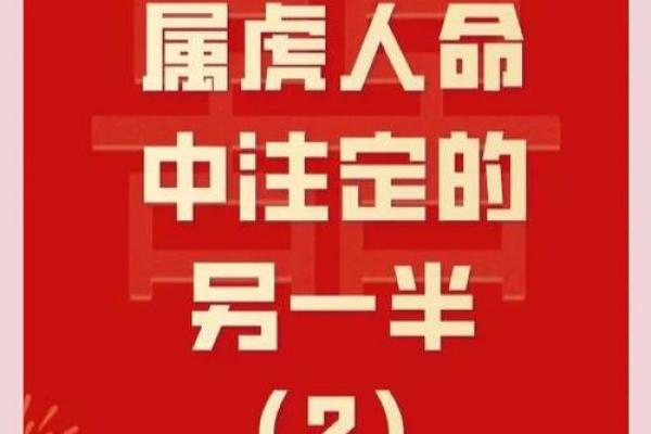 虎狗属相婚配好不好 属虎的和属猴的人婚配好不好