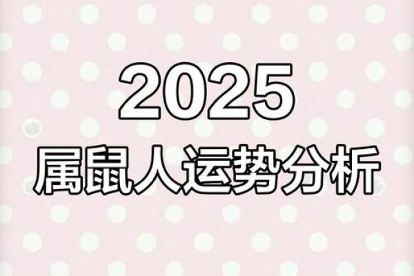 2008年属鼠的人2025年运势详解及每月运程分析
