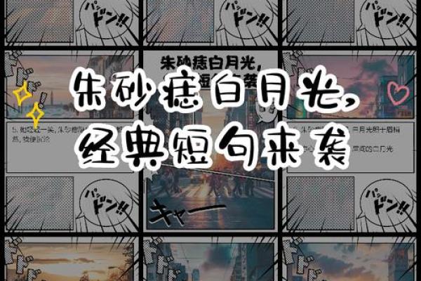 朱砂痣白月光啥意思 朱砂痣白月光是什么意思网络用语