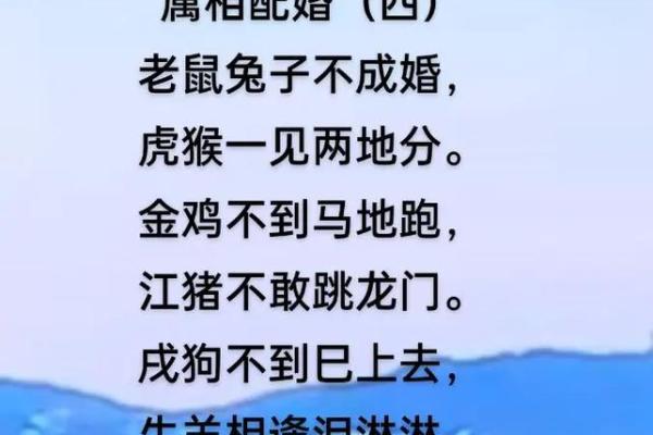老鼠不能配的属相 老鼠不能配的属相有哪些