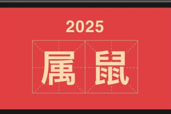 1996年出生的火鼠命人一生命运如何，性格和运势详解