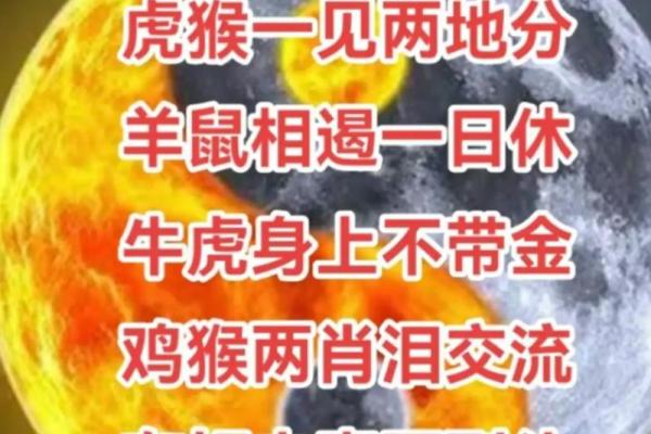 羊鼠属相合不合 羊鼠属相合不合事业