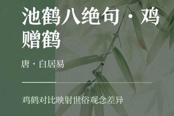 ‌独树一帜是什么生肖 → 鹤（鹤立鸡群，代指鸡傲）‌