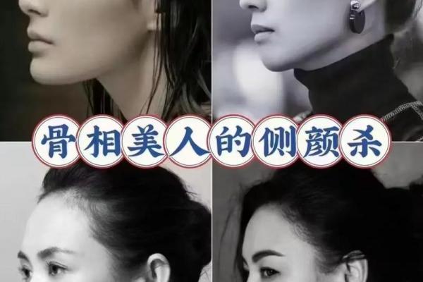 什么是美人骨 什么是美人骨什么是皮相美