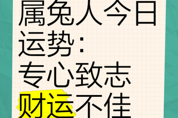 2021年属兔人的全年运势 1987年兔2021年属兔人的全年运势