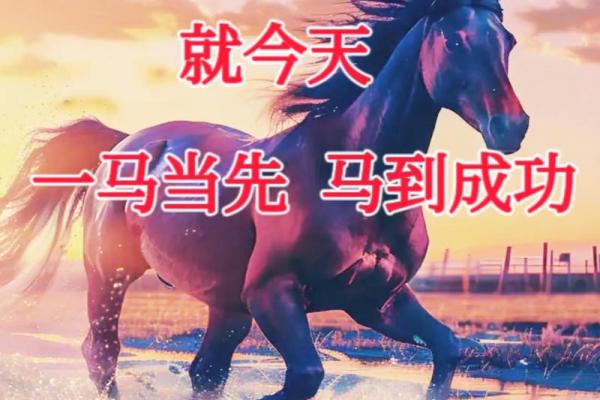 ‌一往直前打一生肖 → 马‌（骏马奋蹄，勇往直前）