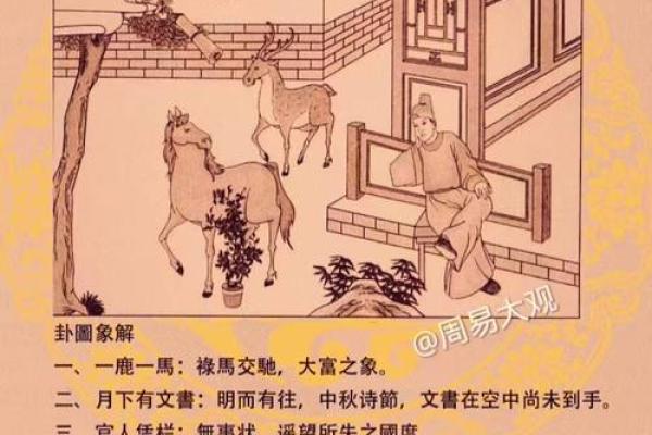 水送山迎打一最佳生肖
