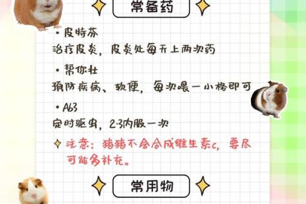 家里养豚鼠为啥不吉利 寝室养豚鼠
