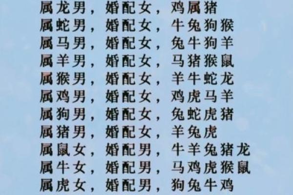1994年配偶属什么最佳 1994年属什么婚配