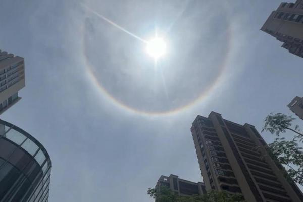 月晕主风是什么生肖